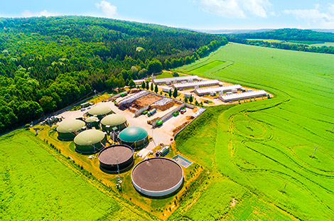 evaporador industrial en biogas y biocombustibles